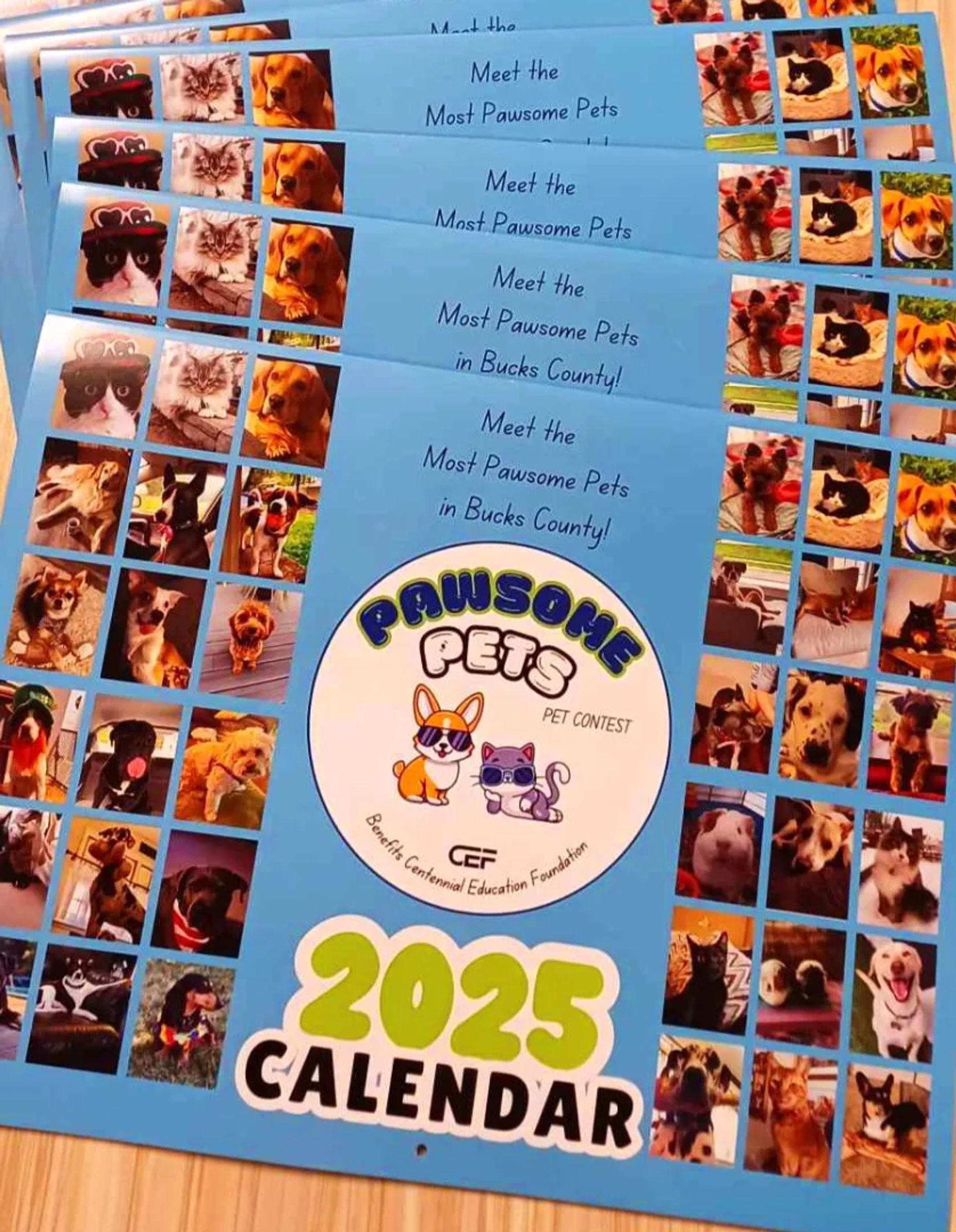 cef-pawsome-pets-calendar